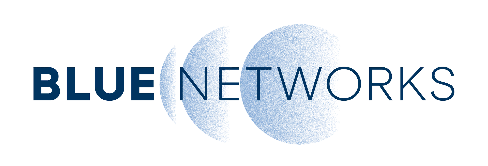 Blue Networks | Security That Fuels Innovation